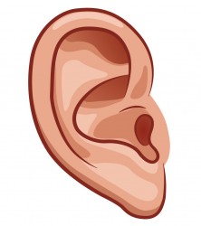 عمل های گوش